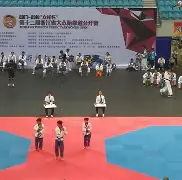 跆拳道超级杯掀起高潮，陇右白虎队强势横扫江南天狼队，老将里程碑之夜——快速转换撕裂防线的简单介绍